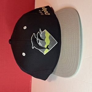 Pink Dolphin Snapback Hat
